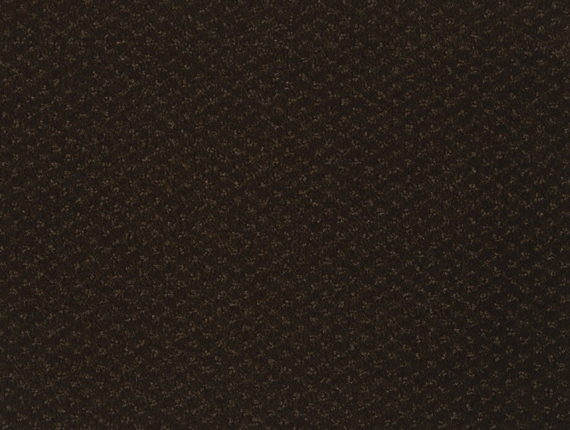 Carve Classic - 291-Sepia-1